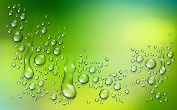 Gotas Chuva Água Condensação Sobre Fundo Natureza Verde Borrada Além — Vetor de Stock