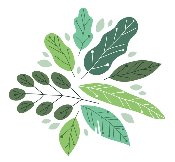 Mooie Frisse Groene Bladeren Platte Stijl Vector Illustratie Geïsoleerd Wit — Stockvector