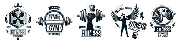 Fitness Sport Emblems Logos Posters Barbells Dumbbells Kettlebells Muscle Man — Stock Vector