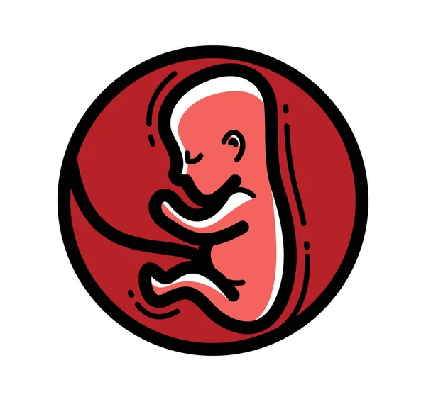 Menselijke Foetus Embryo Baarmoeder Ongeboren Kind Vector Lineair Pictogram Geïsoleerd — Stockvector