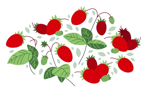 Fresh Delicious Ripe Wild Strawberries Vector Flat Illustration Isolated White — Stock Vector