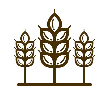 Olgun buğday başak vektör doğrusal simgesi beyaz arkaplan üzerinde izole, tarım veya sağlıklı gıda teması için amblem veya logo oluşturma için tasarım unsuru.