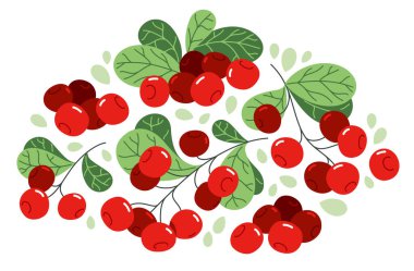 Taze lezzetli, olgun yaban mersini vektör düz illüstrasyon beyaz, doğal diyet gıda bitkileri lezzetli yiyecekler, orman yabanmersini serisi.