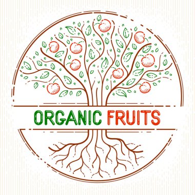 Güzel elma ağacı doğal organik tarım gıda vektör logosu veya amblemi, doğrusal çizim tarzı.