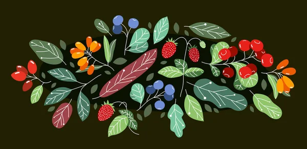 野生浆果新鲜而成熟的健康食品 叶面平坦 背景深 草食美味 自然恩赐 — 图库矢量图片
