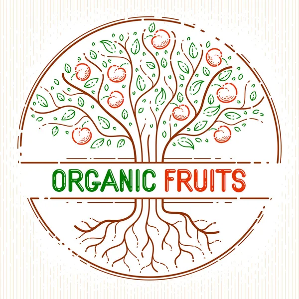 Bela Árvore Frutas Maçã Natural Orgânico Fazenda Alimento Vetor Logotipo — Vetor de Stock