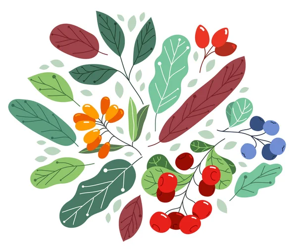 野生浆果新鲜而成熟 味道鲜美 叶面平坦的健康食品 与白色 味道鲜美的植被相分离 日常饮食 自然礼物 — 图库矢量图片