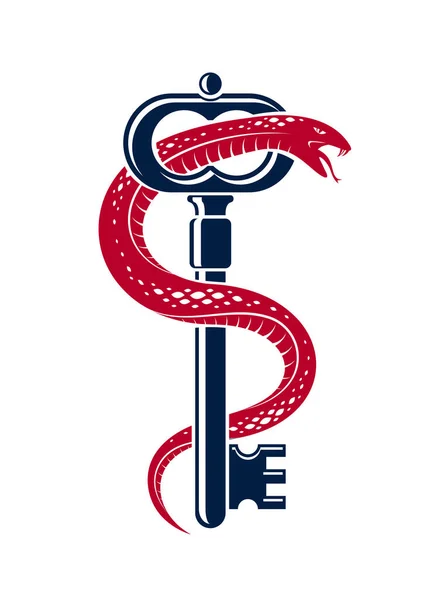 Snake Envolve Torno Chave Vintage Conceito Secreto Protegido Turnkey Serpente — Vetor de Stock