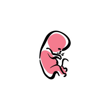 Illustrated human fetus, vector hand drawn embryo. clipart