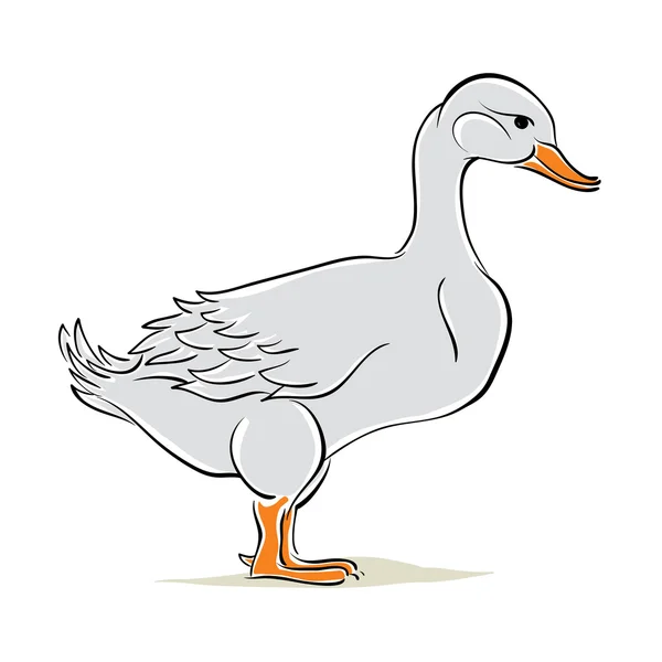 Ilustración de vector de pato . — Vector de stock