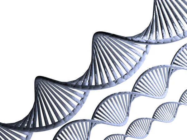 DNA. — Stock Photo, Image