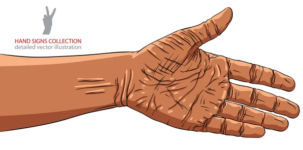 Hand für Handschlag vorbereitet, afrikanische Ethnizität, detaillierter Vektor — Stockvektor