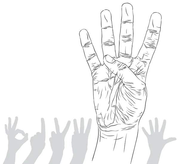 Números mão sinais definidos, número quatro, detalhados preto e branco li — Vetor de Stock