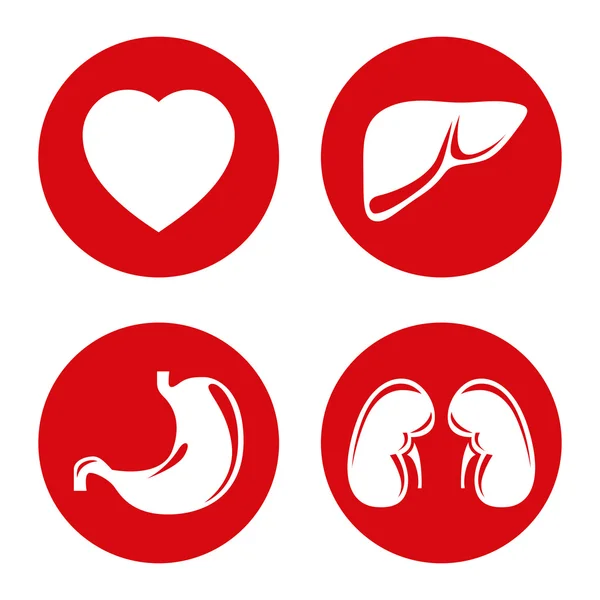 Menselijke interne organen pictogrammen — Stockvector