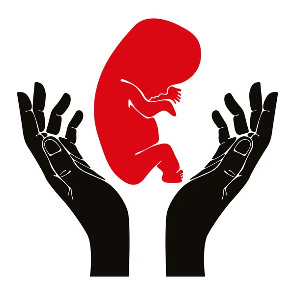 Menselijke handen met foetus symbool. — Stockvector