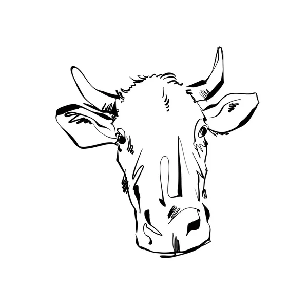 Illustration of a hand drawn cow — Stok Vektör