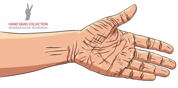 Hand förberedda för handskakning — Stock vektor