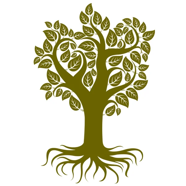 Árbol ramificado con raíces fuertes — Vector de stock