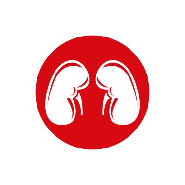 Human kidneys flat icon