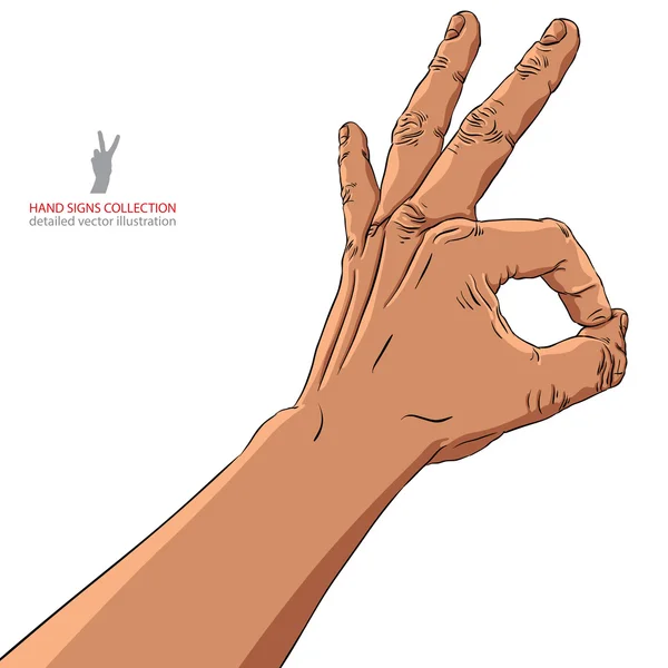 Okay hand sign — Stock Vector