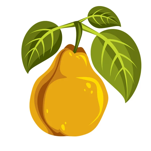 Single yellow pear — Stock Vector