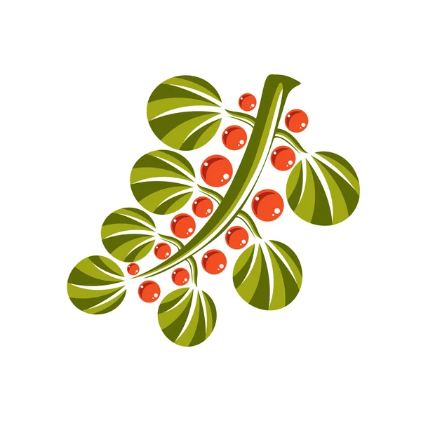 Green leaves with berries or seeds — Stok Vektör