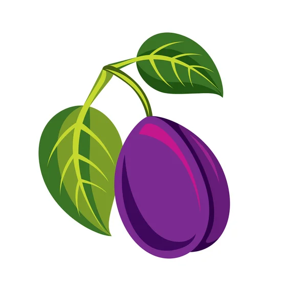 1 つの紫色のプラム — ストックベクタ