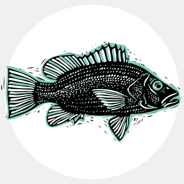Hand drawn silhouette of fish — Stok Vektör