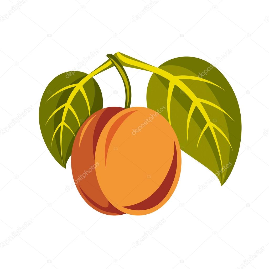 ripe orange peach