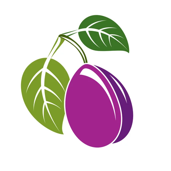 Single purple plum with green leaves — Stock Vector