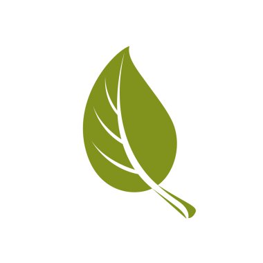 Simple flat green tree leaf