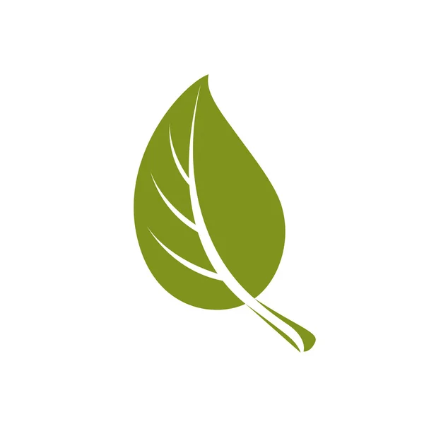 Simple flat green tree leaf — ストックベクタ