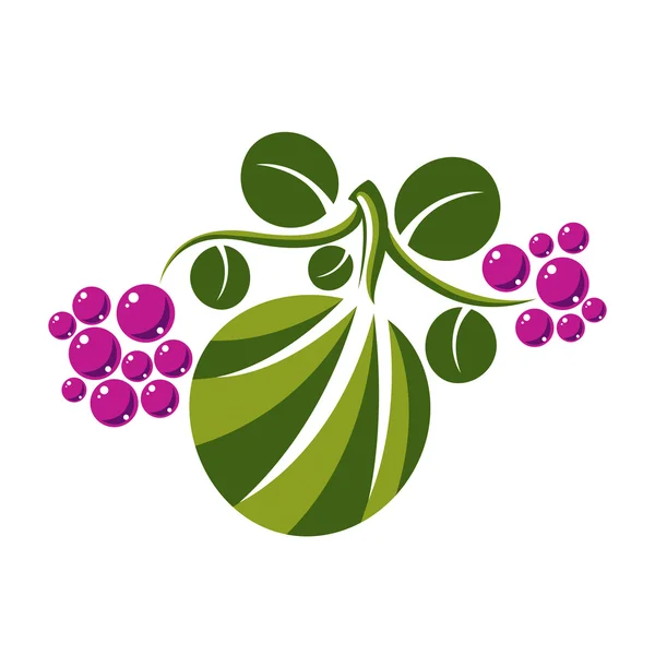 Green leaves with tendrils and purple berries — Stockvector