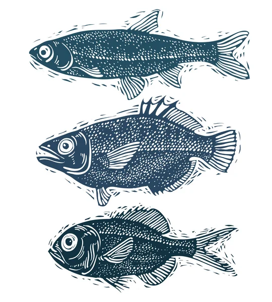 Çizilmiş balıklar kümesi — Stok Vektör