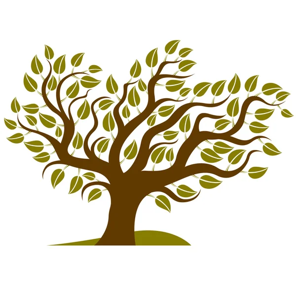 Stylized branchy tree — Stock Vector