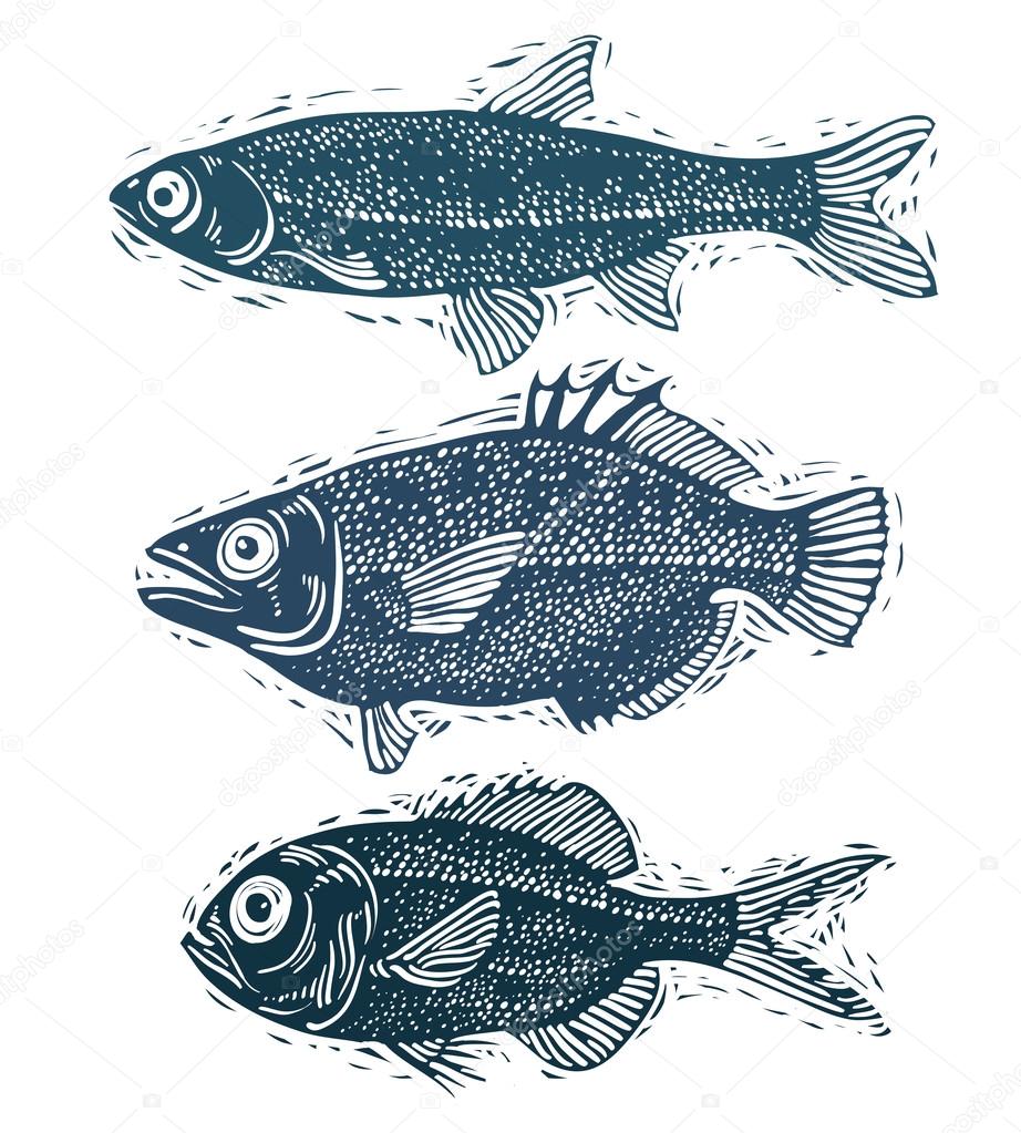 Set of drawn fishes