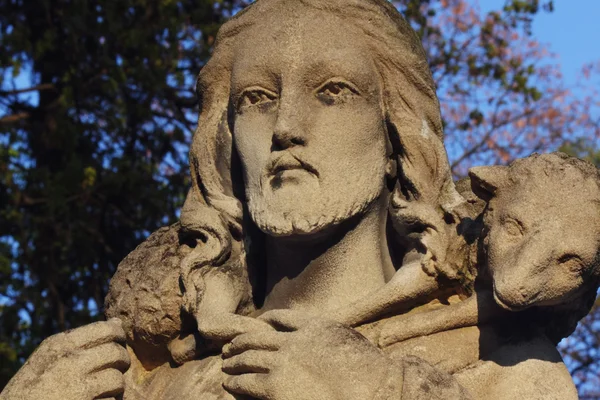 Jesus Christ - the Good Shepherd — Stock Photo, Image