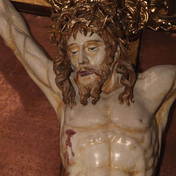 Jezus Christus in een kroon van doornen — Stockfoto
