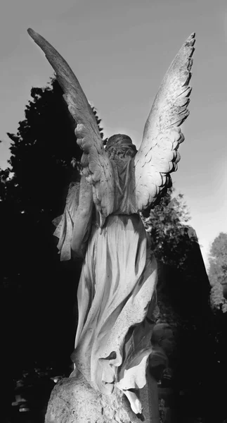 Ангел (кладовища архітектур - Європа) — стокове фото
