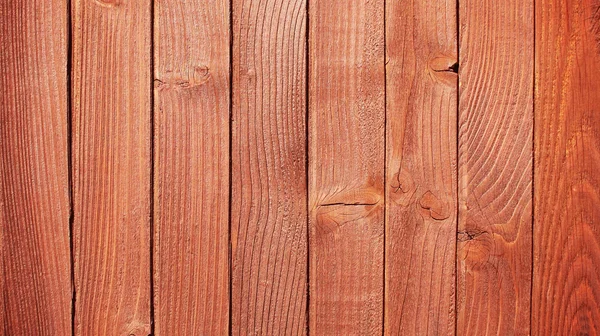 Gamla barken av trädet textur detalj — Stockfoto