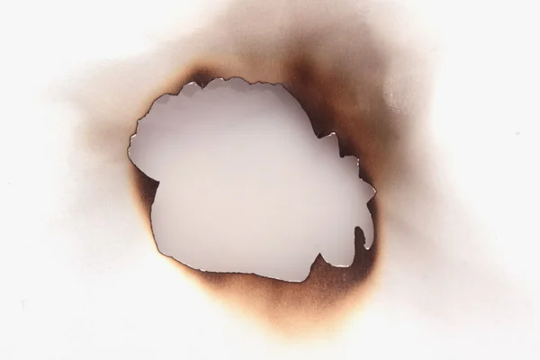 fire burned holes in paper (close up)