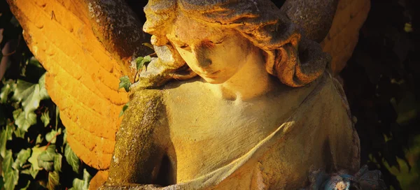 Golden angel in the sunlight (antique statue) — Stock Photo, Image