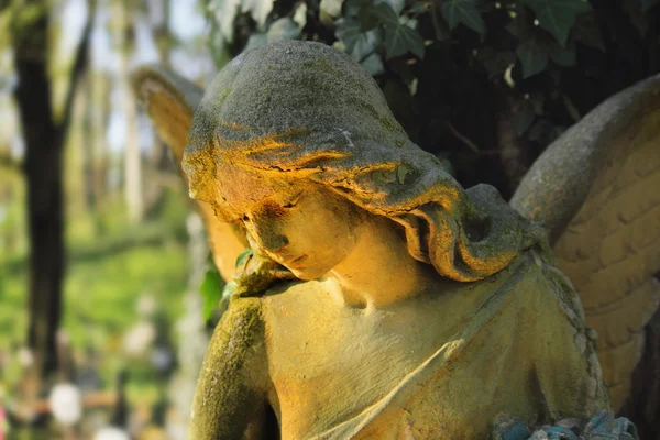 Винтажное изображение грустного ангела на кладбище против спины — стоковое фото