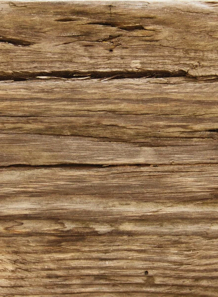 Old bark of tree texture detail — Stock Photo, Image