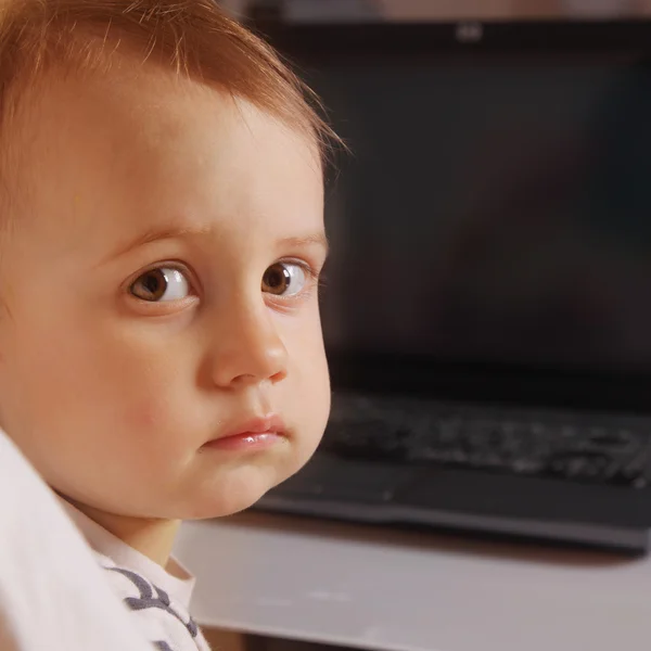 아기는 컴퓨터를 보고 하 고 있다 — 스톡 사진