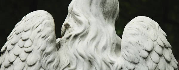 Ангел. Украина, Львов, Лычаковские кладбища — стоковое фото
