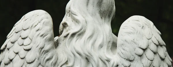 Angel. Ukraine, Lviv, Lychakiv cemeteries — Stock Photo, Image