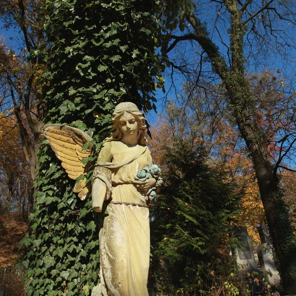Majestátní pohled socha zlatého anděla osvětleny slunečním zářením — Stock fotografie