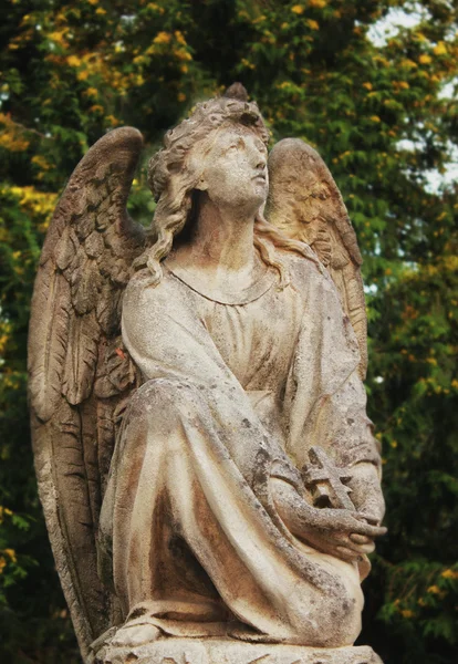 天使 (墓地のアーキテクチャ - ヨーロッパ) — ストック写真