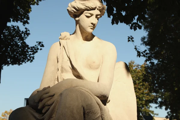 Богиня любви Афродита (Венера) ) — стоковое фото